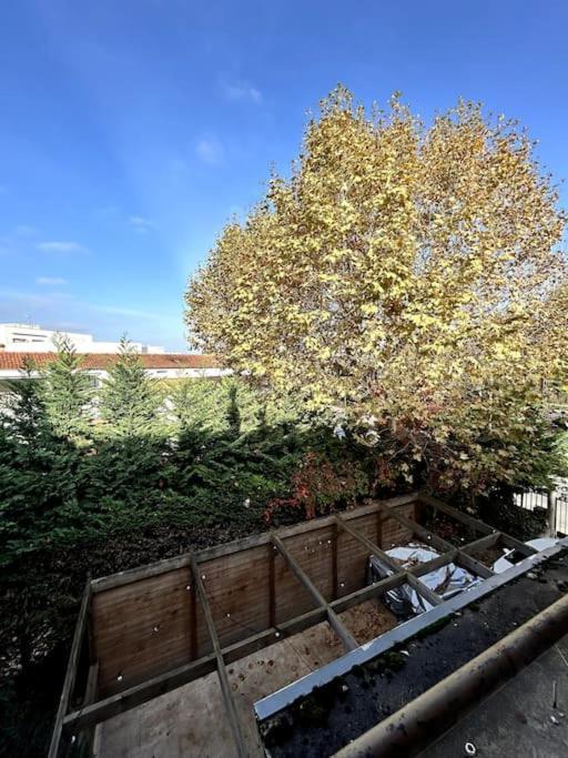 Apartament Le Cosy Shelby Proche Gare 150M Villefranche-sur-Saône Zewnętrze zdjęcie