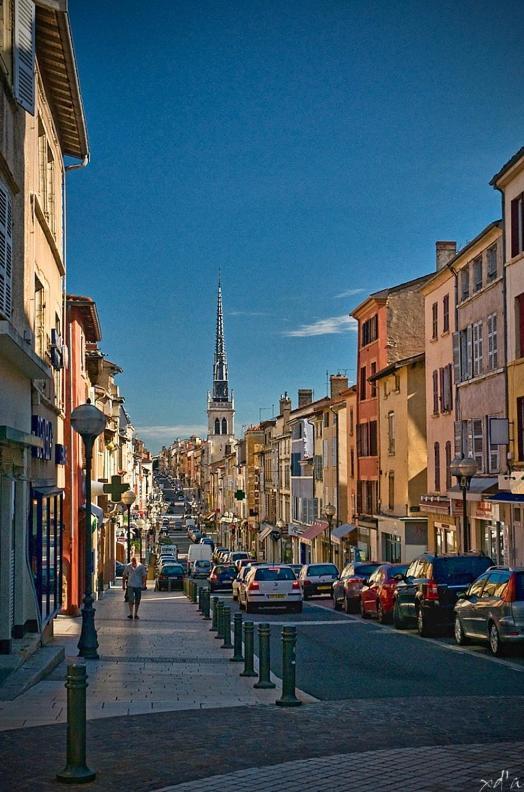 Apartament Le Cosy Shelby Proche Gare 150M Villefranche-sur-Saône Zewnętrze zdjęcie
